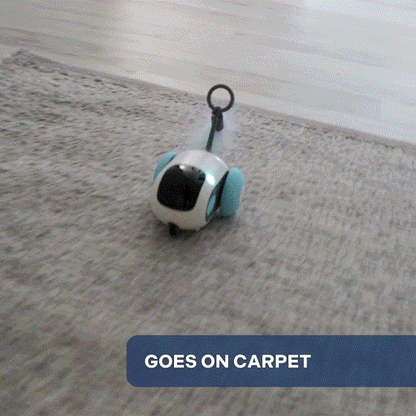 PetPofy™ - Turbo Tails