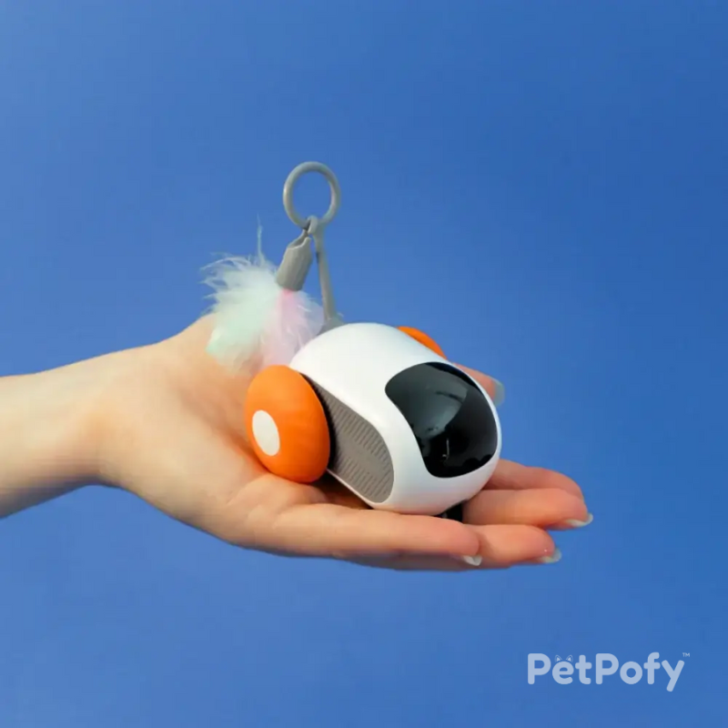 PetPofy™ - Turbo Tails
