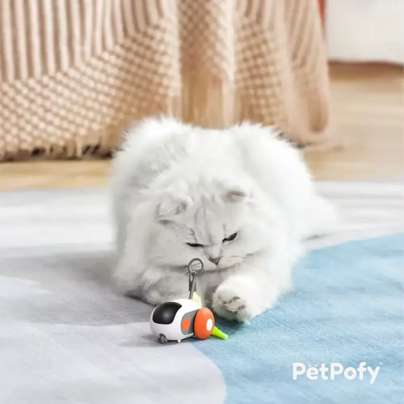 PetPofy™ - Turbo Tails