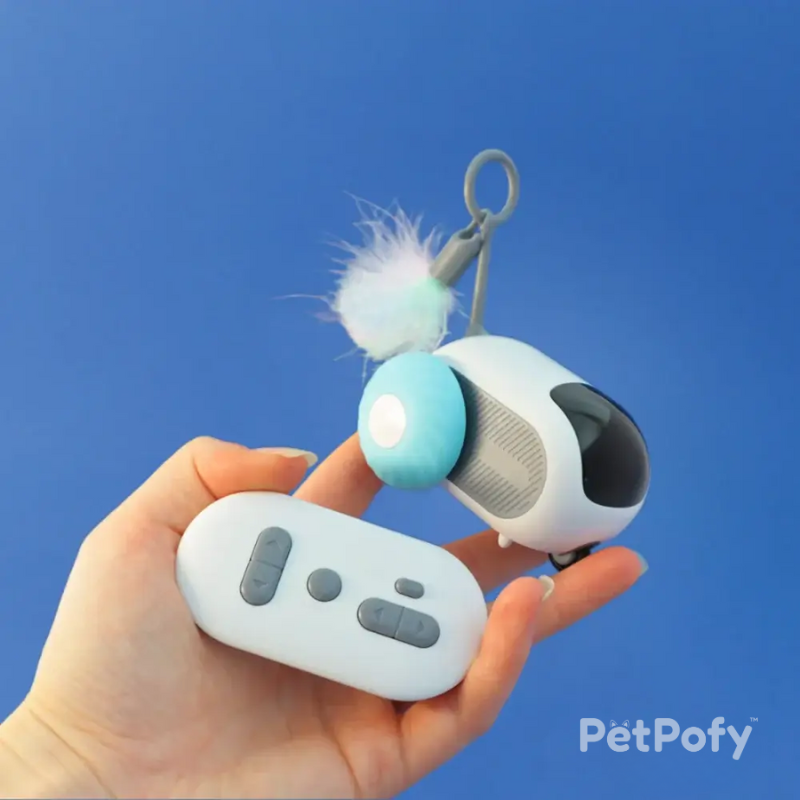 PetPofy™ - Turbo Tails