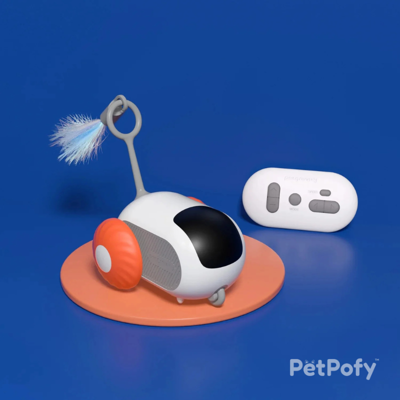 PetPofy™ - Turbo Tails